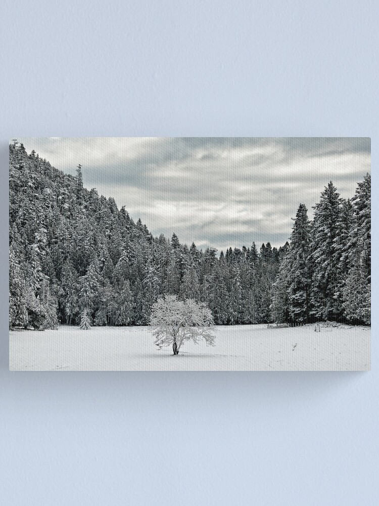 Alternate view of Lone Tree in the WInter Canvas Print