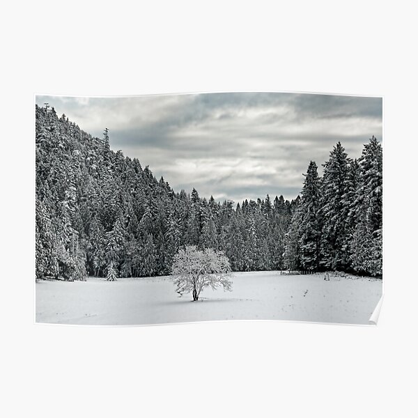Lone Tree in the WInter Poster