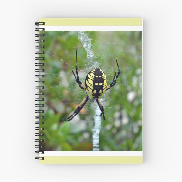 Item preview, Garden Orb Weaver Spider designed and sold by LizardSpirit.