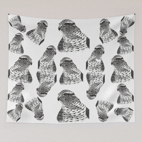 Item preview, Goshawk. Goshawk. designed and sold by BeritValk.