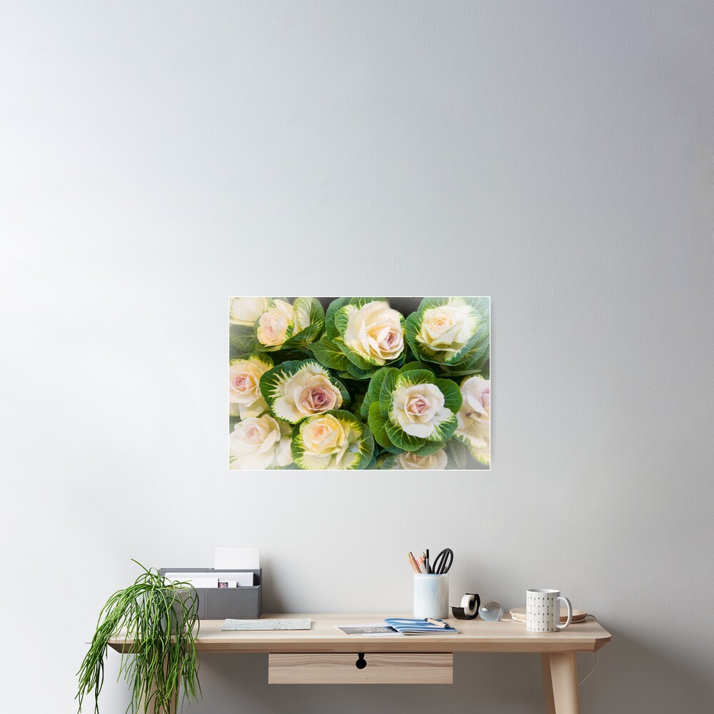 Flowering Kale Bouquet Poster
