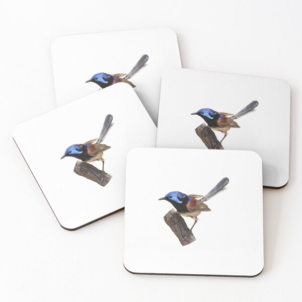 Item preview, Variegated Fairy-wren designed and sold by quentinjlang.