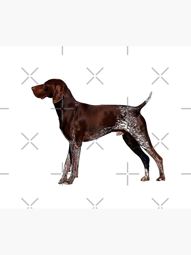 “Liver German Shorthaired Pointer Stacked” Throw Blanket by