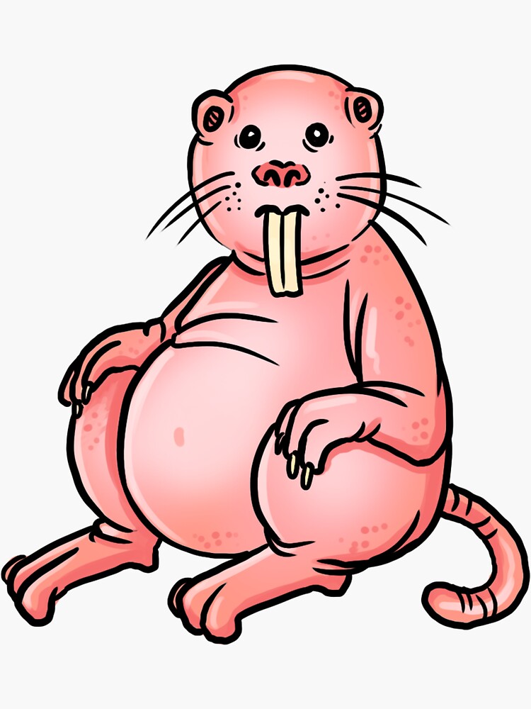 "Mole Rat" Sticker for Sale by Beartrix | Redbubble