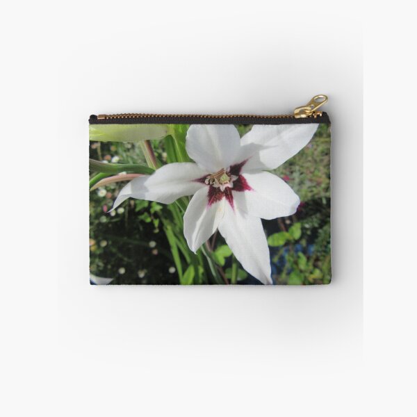 Item preview, Peacock Lily (Acidanthera bicolor/ Gladiolus callianthus) designed and sold by lezvee.