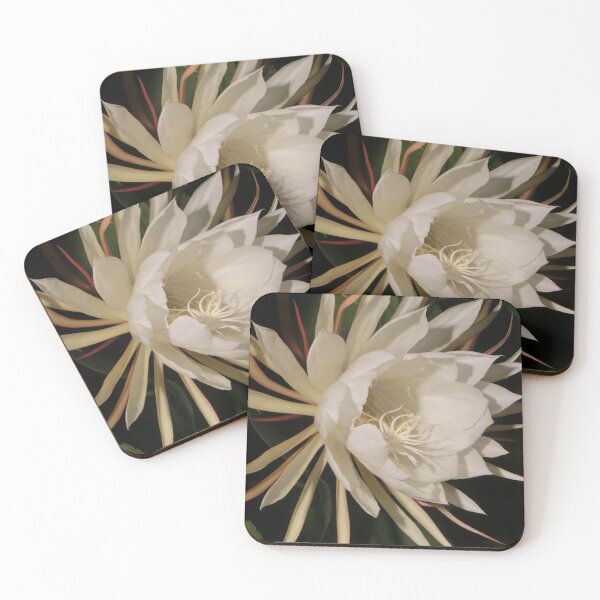 Item preview, Night Blooming Cereus designed and sold by DavidFeldman.