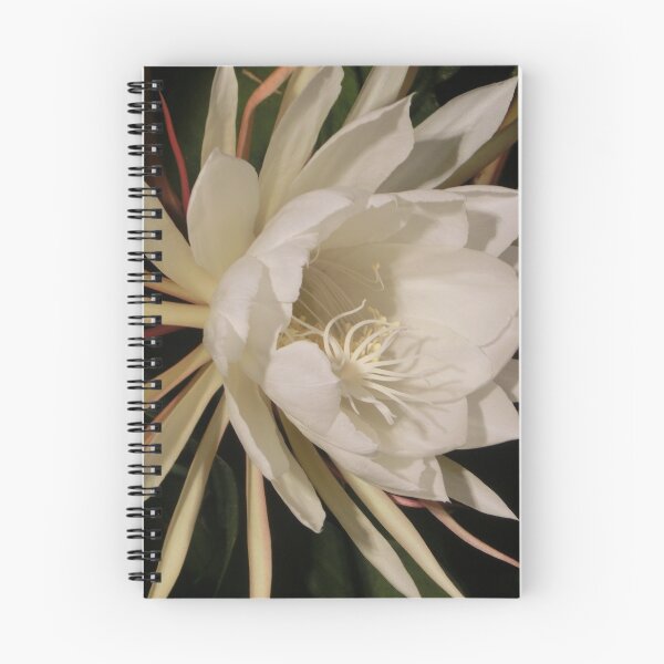 Item preview, Night Blooming Cereus designed and sold by DavidFeldman.