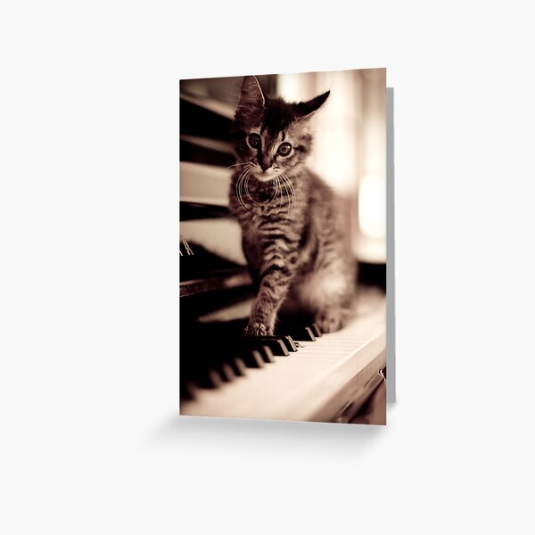World Class Pianist... Greeting Card