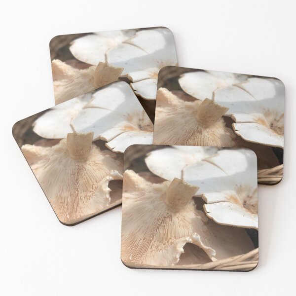 Item preview, mushroom harvest designed and sold by Sankofa.