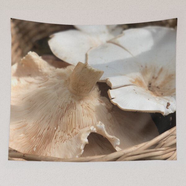 Item preview, mushroom harvest designed and sold by Sankofa.