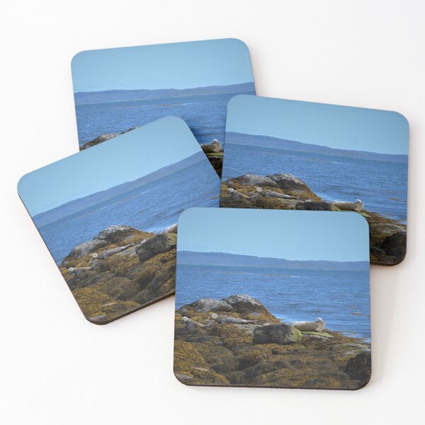 Item preview, Seals Sunbathing designed and sold by jmnicolson.