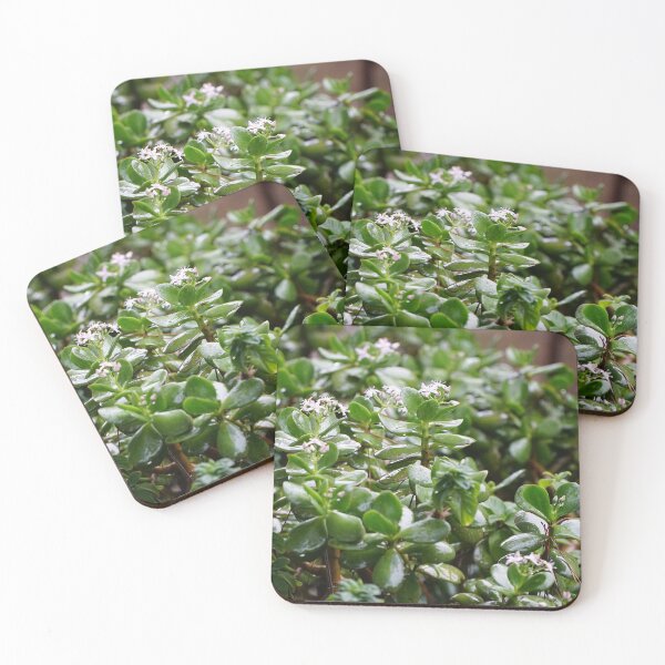 Item preview, Flowers in the Rain designed and sold by muntificator.