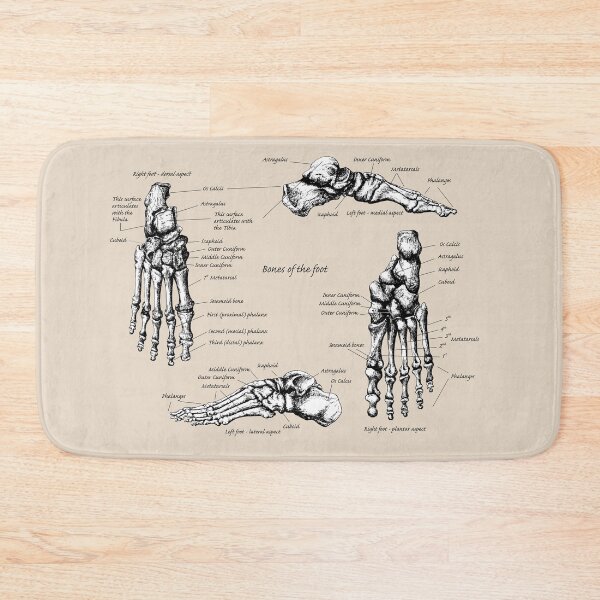 Item preview, The bones of the human foot. designed and sold by Squirrox.