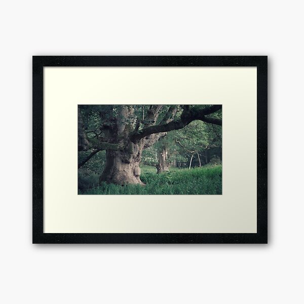 The Young Pretender Framed Art Print