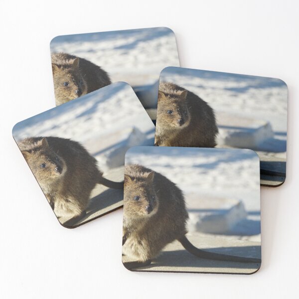 Item preview, Rottnest Quokka designed and sold by muntificator.