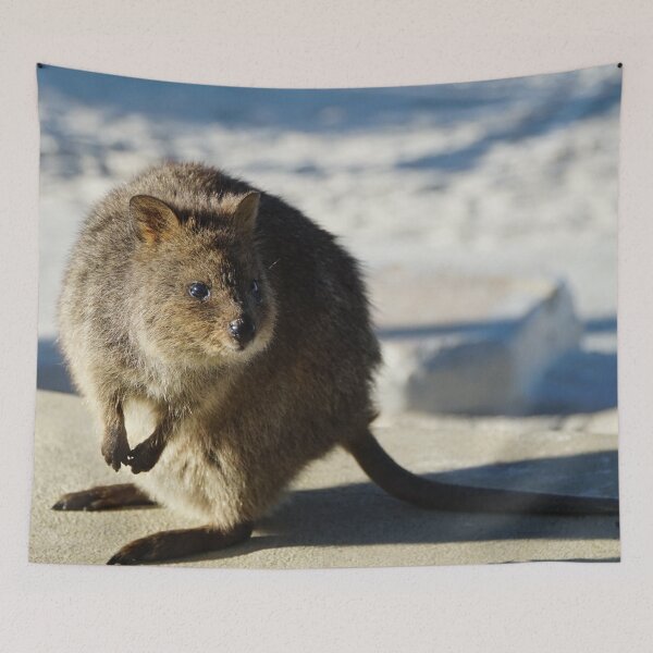 Item preview, Rottnest Quokka designed and sold by muntificator.