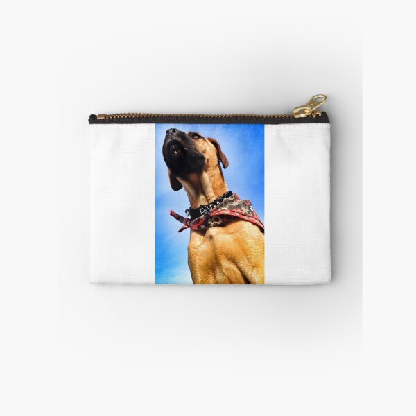 Item preview, It's a bird, It's a plane, no, it's Super Dog! designed and sold by fishinmusician.