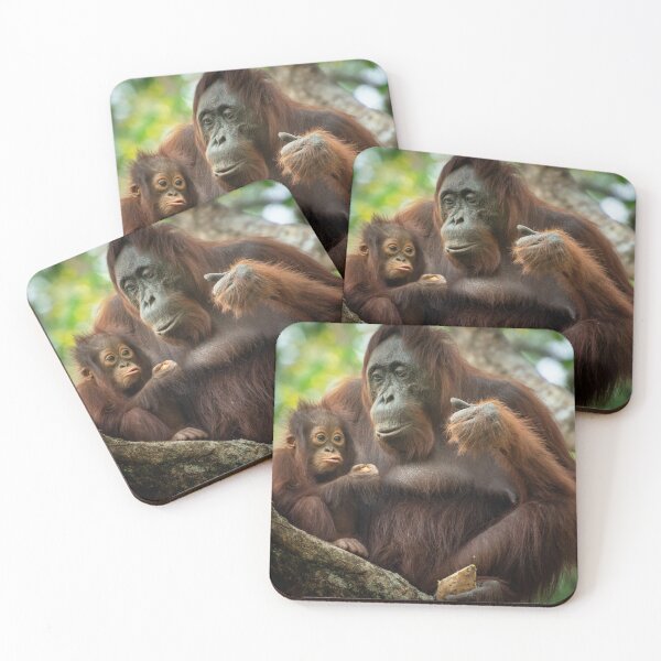 Item preview, Borneo Orangutans designed and sold by dommolendowska.