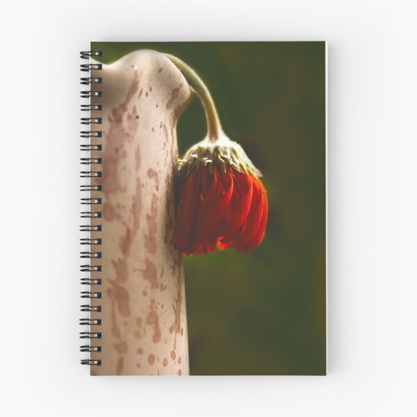 Item preview, bowed but not out designed and sold by lensbaby.