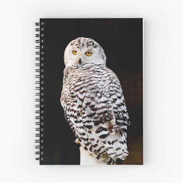 Item preview, snowy owl (Bubo scandiacus) designed and sold by Martin Leber.