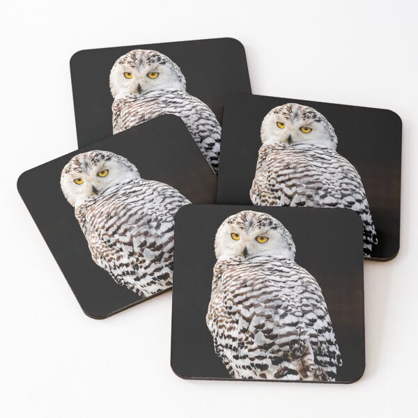 Item preview, snowy owl (Bubo scandiacus) designed and sold by Martin Leber.