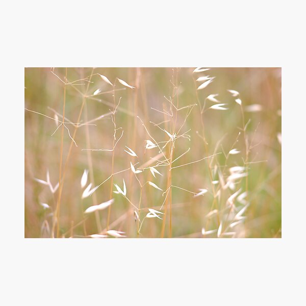 Item preview, grass 4 designed and sold by Naia.