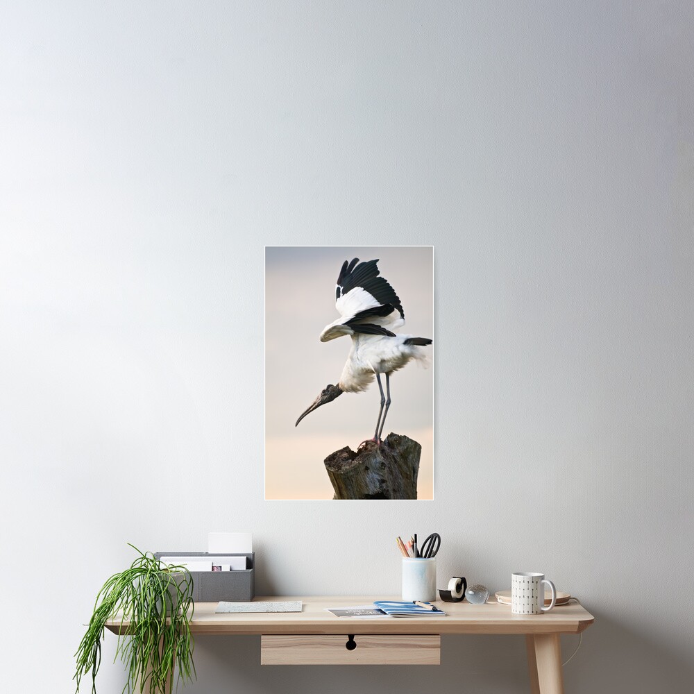 Item preview, Poster designed and sold by RVance.