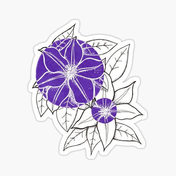 Purple Clematis Flowers Sticker