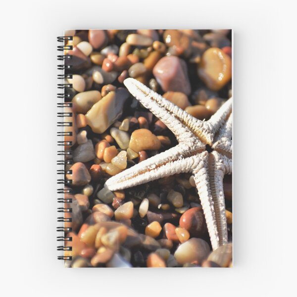 Item preview, Starfish and Pebbles designed and sold by PuzbieArts.