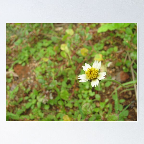 Item preview, Lonely designed and sold by Akash Puthraya.