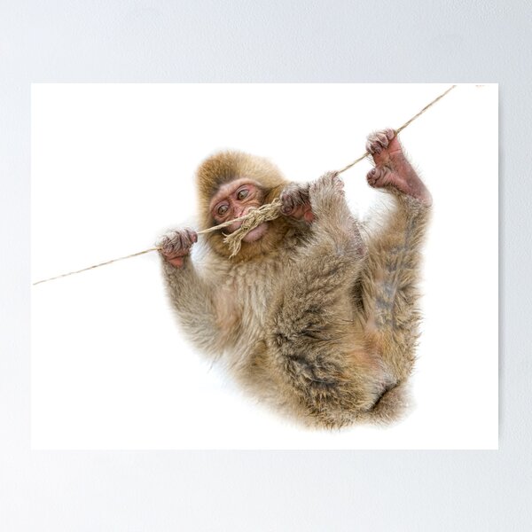 Item preview, Hanging on  designed and sold by Anne Young.