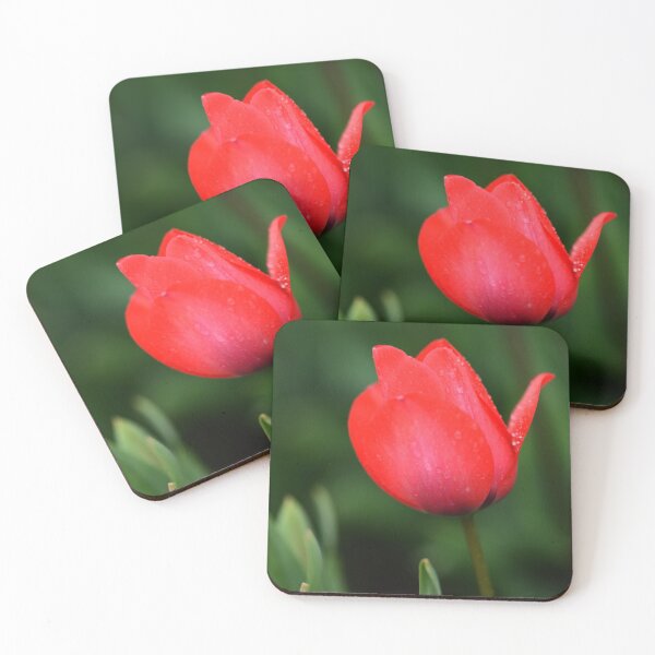 Item preview, Red Tulip Glowing in the Rain designed and sold by imaginethis.