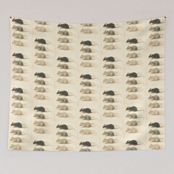 Item preview, Vintage Mouse Scientific Illustration designed and sold by BlueSpecsStudio.