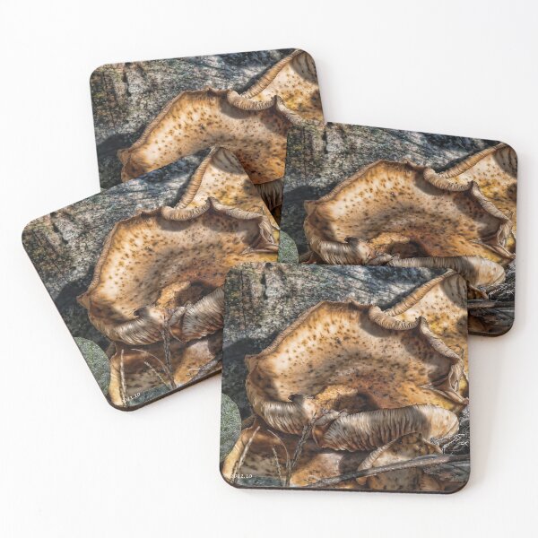 Item preview, Wild Mushrooms designed and sold by Jack McCabe.