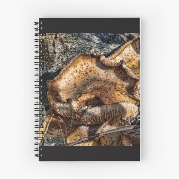 Item preview, Wild Mushrooms designed and sold by Jack McCabe.