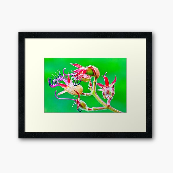 Item preview, Naked Princess Flower designed and sold by bengraham.