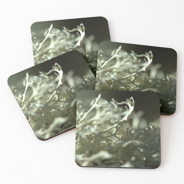 Item preview, lykins designed and sold by JohnFort.