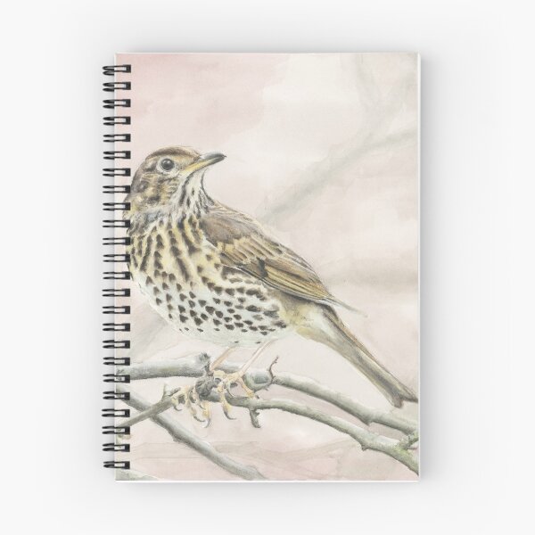 Item preview, Song Thrush on Grey and Pink designed and sold by LittleForestArt.