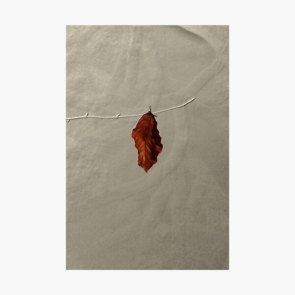 Item preview, Autumn Leaf designed and sold by simpsonvisuals.