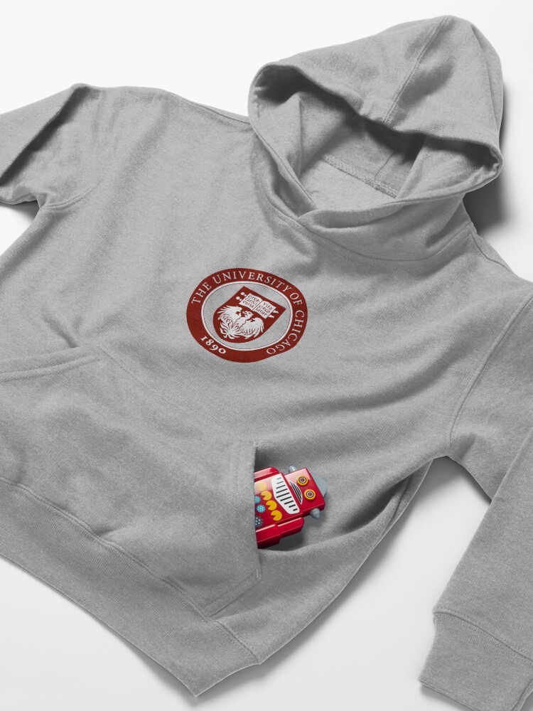 Kids Chicago Hoodie 