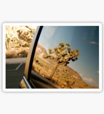 yucca reflection in the carpark at joshua tree Sticker