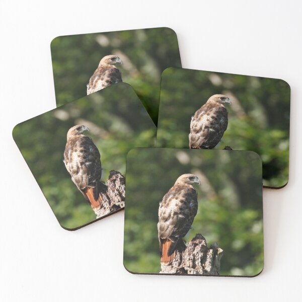 Item preview, Red tailed hawk designed and sold by Dustin  Neild.