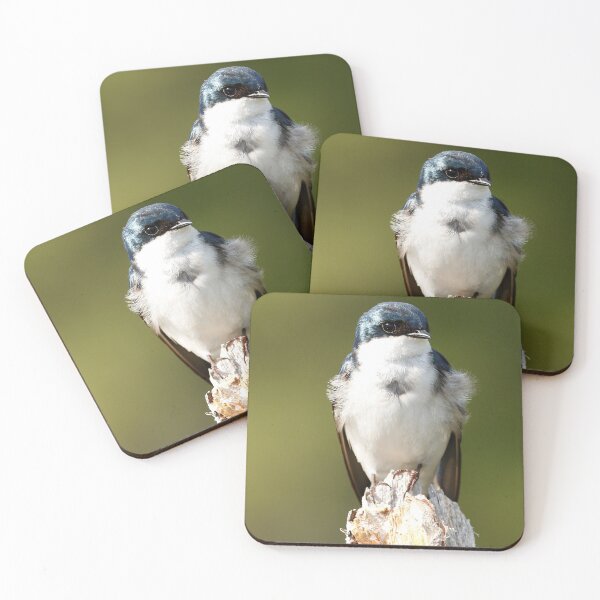 Item preview, Mother Bluebird designed and sold by Dustin  Neild.