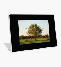 madikwe tree, south africa Laptop Skin