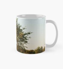 madikwe tree, south africa Mug