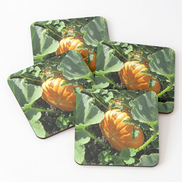 Item preview, A Growing Pumpkin designed and sold by lezvee.