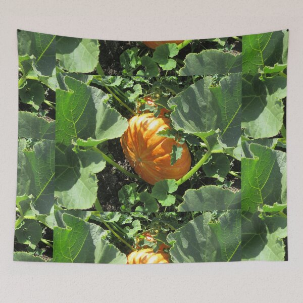 Item preview, A Growing Pumpkin designed and sold by lezvee.