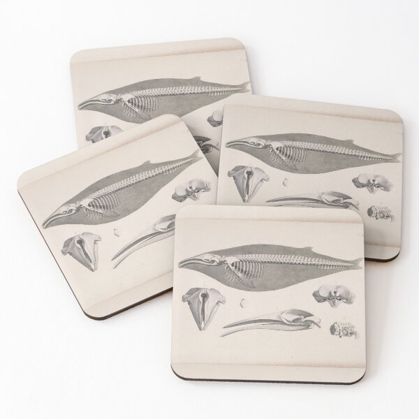 Item preview, Natural History Whale Skeleton designed and sold by BlueSpecsStudio.