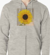 radiant Zipped Hoodie