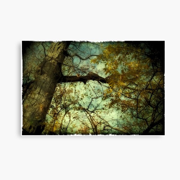 The Sky is Falling Canvas Print